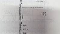 什么神经负责传到信号到肌肉？