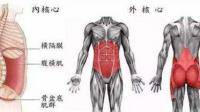 在假性翘臂的纠正训练中，为什么我们还要强化腹直肌的力量