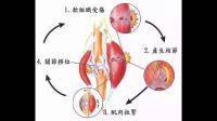 肌肉撕裂伤要养多久，怎么判断已经痊愈，何时可以开始运动？