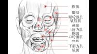 面部肌肉的运动如用力闭眼、鼓腮等也会诱发