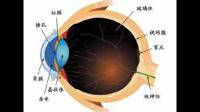 眼球震颤主要表现为眼睛无法控制地运动