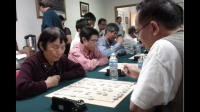 象棋区锦标赛冠军可以申请等级吗