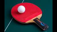 乒乓球（table tennis）的起源与网球（tennis）有着怎样的联系，你之前是怎么认为的?